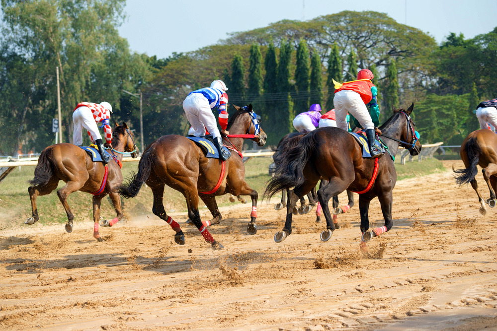 Understanding Horse Racing Odds and How They Work